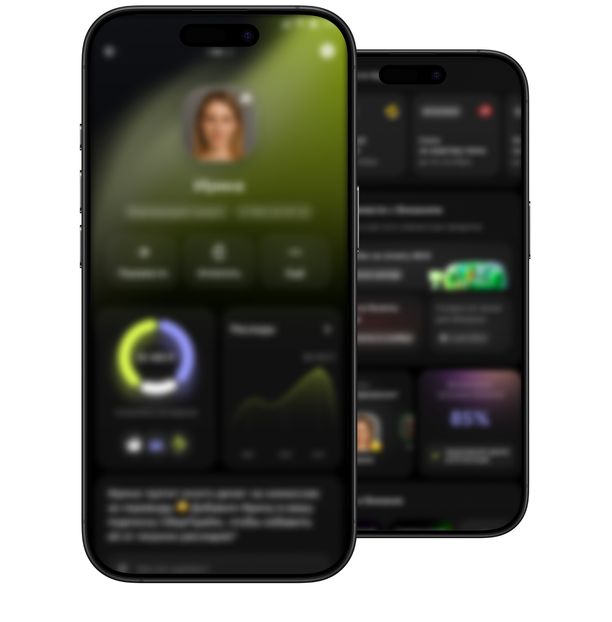 Vision-концепция развития семейных финансов с AI-агентами. Детали скрыты по NDA.