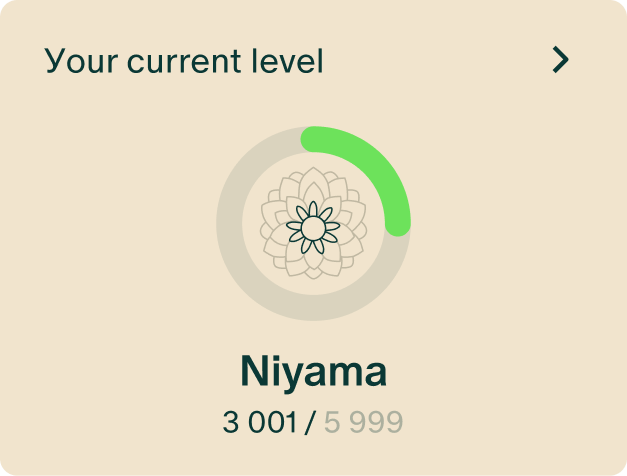 Karma Points: уровень Niyama